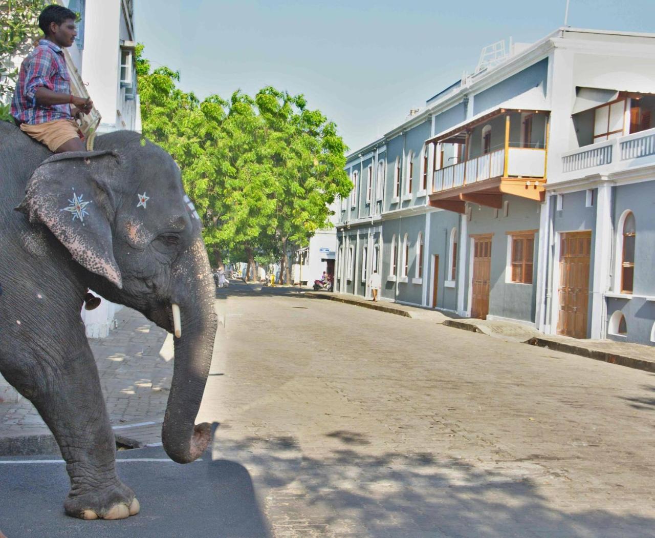 Patricia Guest House Pondicherry Exteriör bild
